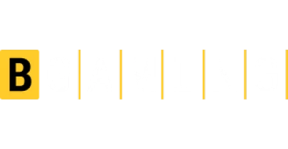 partners who work with Betvisa