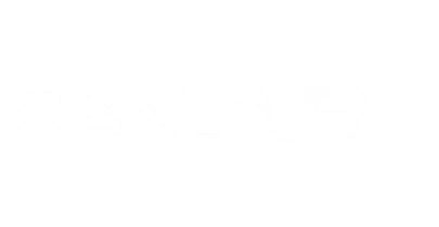 partners who work with Betvisa